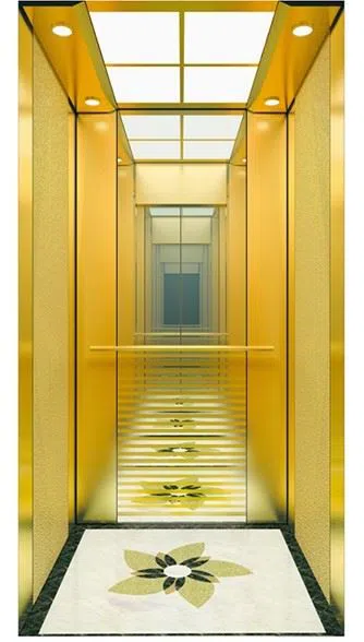 Villa Passenger Elevator With Mirror