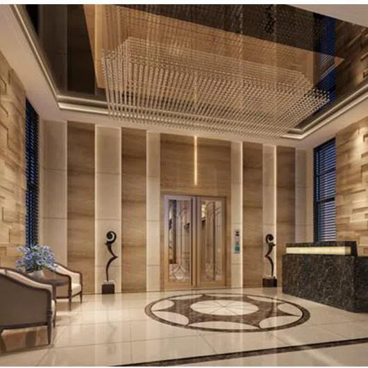 Custom Design Luxury Passenger Hotel Elevator